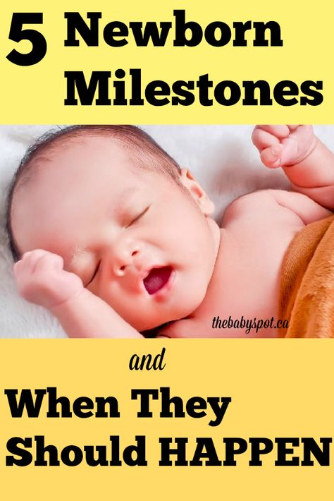 These baby milestones are so important for any new parent to know! #thebabyspot #babymilestones #infantmilestones #newbornmilestones #childdevelopment #babydevelopment #infantdevelopment Newborn Milestones Weekly, Infant Milestones, Newborn Milestones, Newborn Milestone, Baby Registry Checklist, My First Baby, Week Schedule, 5 Babies