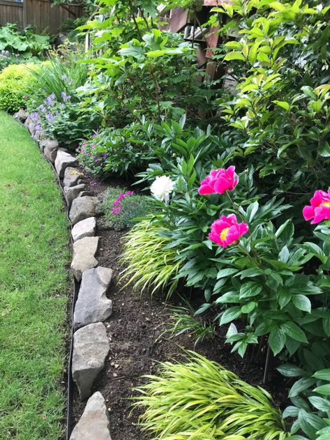 Angela’s Garden Transformation - FineGardening Pool Pots, Easy Garden Ideas Landscaping, Gardening Photos, Dream Garden Backyards, Gardening Magazine, Garden Transformation, Front Lawn Landscaping, River Rock Garden, Fine Gardening Magazine