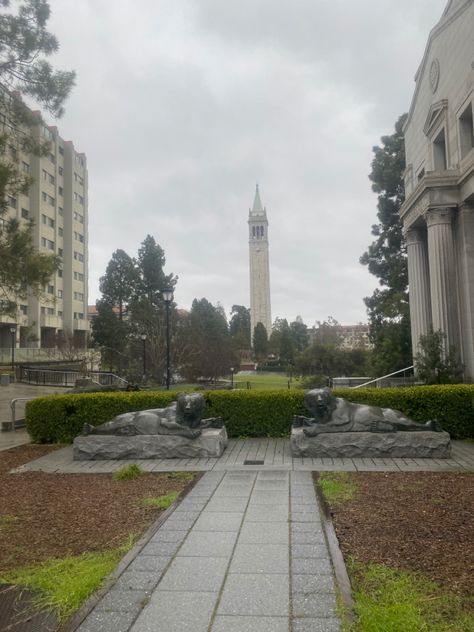 Uc Berkeley Campus, Berkeley University Aesthetic, Uc Berkeley Aesthetic, Berkeley Aesthetic, Mood Board 2023, Berkeley Law, Berkeley Campus, Berkeley University, Cal Berkeley