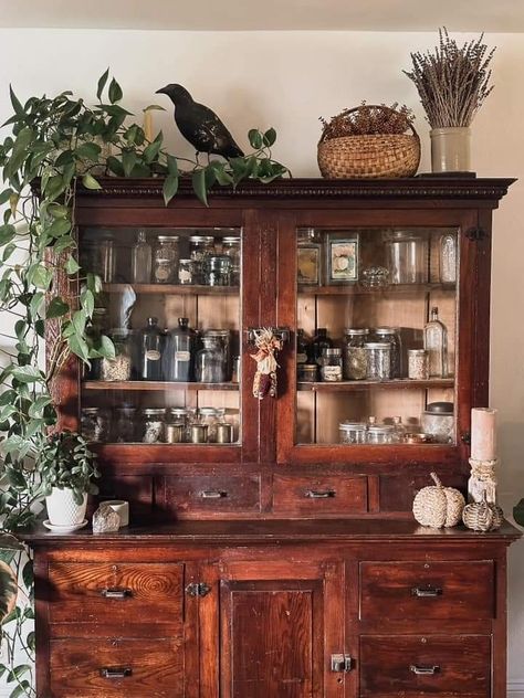 Herbalist Hutch, Goblin Core Kitchen, Witchy Home Decor Witch Cottage, Apothecary Kitchen Decor Ideas, Home Apothecary Room, Witch Pantry, Nature Cabinet, Victorian Basement, Herb Cabinet