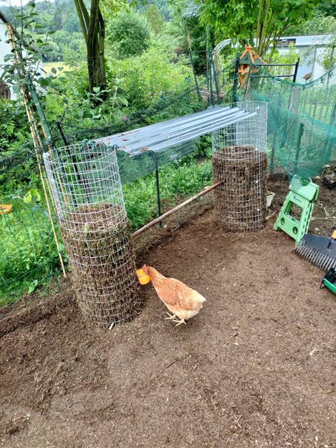 Chicken Coop And Veggie Patch, Chicken Run Backyard, No Dig Chicken Run, Garden By Chicken Coop, Covered Chicken Run Ideas Diy, Fairy Chicken Coop, Chook House Ideas, Chicken Run Add On, Tire Chicken Coop