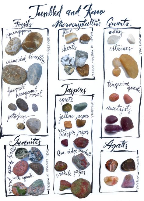 I am new to collecting rocks, so I created a chart of Before and After Tumbling to understand what I am looking for next time I am at the beach.  Before and after tumbling Tumbled Raw Tumbled and Row Great Lakes Michigan Lake Polished rocks Fossils Microcrystalline  Quartz Granite Jasper Agate syringoproa Crinoidal limeston Favorite honeycomb coral Petoskey stone Biotite Granate Apache pink granite Revised with episode Flint Chert Mineral Gemstone Epitome Yellow jasper Red feldspar jasper Blue Beach Rock Identification, Michigan Rock Identification, Lake Michigan Rocks Identification, Agate Identification Chart, Lake Superior Rocks Identification, Lake Michigan Rocks, Michigan Rocks Hunting, Raw Agate Rocks, What To Do With Tumbled Rocks