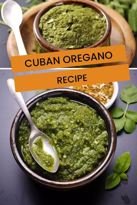 Cuban Oregano Recipe – Hungarian Chef How To Use Cuban Oregano, Cuban Oregano Recipes, Cuban Oregano, Fresh Oregano Recipes, Oregano Recipes, Cuban Cuisine, Vegan Pesto, Herb Recipes, Tenderloin Recipes