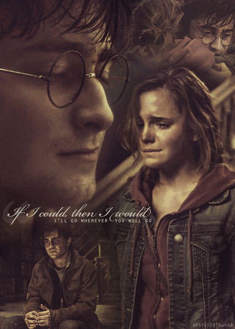 Harmony Harry Potter, Harry Potter Stuff, Harry Potter Always, Aesthetic Harry Potter, Wherever You Will Go, Harry And Hermione, Harry Potter Hermione Granger, Harry Potter Scene, Harry Potter Images