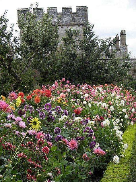 Waterford Ireland, Castle Gardens, Gardens Of The World, Famous Castles, Castle Garden, Public Garden, Stately Home, Gorgeous Gardens, Dream Garden