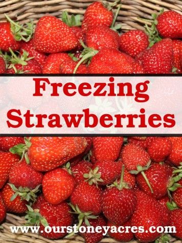 Freezing Strawberries Clean Strawberries, How To Wash Strawberries, Freeze Strawberries, Freezing Strawberries, How To Store Strawberries, Strawberry Health Benefits, Bolo Fit, Strawberry Season, Dehydrated Food