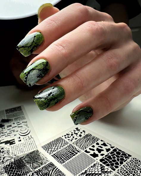 Check out these fierce snake print nails! 🐍💚 Loving the bold, edgy vibe with a touch of wild style. Perfect for making a statement! #NailArt #BoldNails #manicuremagic Snake Print Nails Design, Nails With Snake, Snake Print Nails, Wild Nails, Snake Nails, Print Nails, Nail Services, Snake Print, Nail Ideas