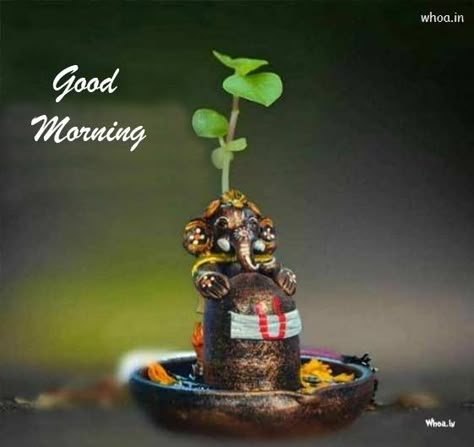 Good Morning With Ganesha Pictures , God With Good Morning Free Good Morning Images, Morning Pic, Good Morning Msg, Morning Msg, Shri Ganesh Images, Good Morning Images Download, Shri Ganesh, Ganesh Images, Ganesha Pictures