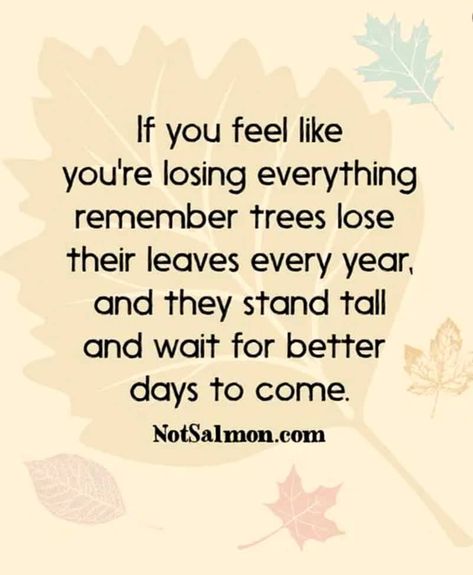 21 Being Strong Quotes To Give You Strength During Hard Times - Life Gets Hard Quotes, Being Strong Quotes, Strong Quotes Hard Times, Quotes Hard Times, Overcoming Quotes, I Love You Funny, Hard Times Quotes, Quotes About Hard Times, When Life Gets Hard