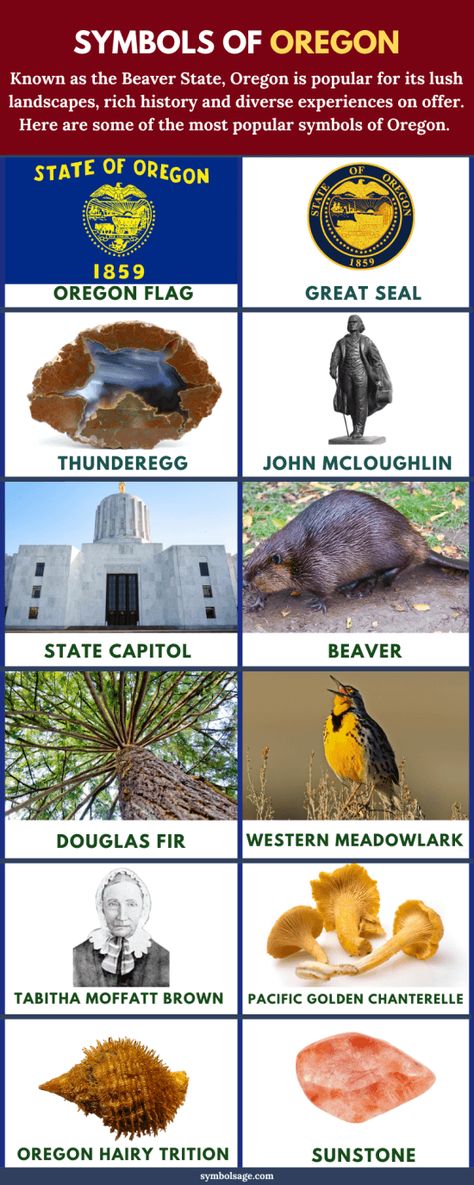 Oregan, known as the Beaver State, is represented by several official and unoffical symbols. Here's a look at some of the most popular symbols of Oregon. Golden Chanterelle, State Project, Western Meadowlark, Oregon Pictures, Gemstone Tree, State Symbols, State Of Oregon, Clean Slate, Stamp Projects