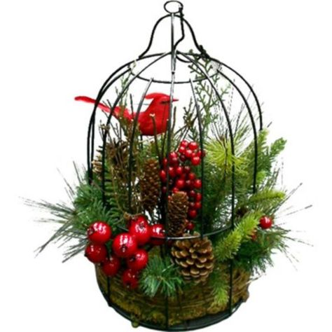 Christmas Bird Cage, Christmas Hanging Baskets, Birdcage Planter, Cage Decor, Bird Cage Centerpiece, Office Commercial, Christmas Flower Arrangements, Christmas Planters, Bird Cage Decor