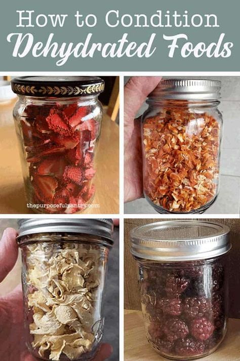 Don't lose that batch of dehydrated raspberries you love! Do this one trick most people skip to save it! Learn how to condition dehydrated foods to fill your pantry! Dehydrated Raspberries, Dehydrating Food Storage, Dehydrated Strawberries, Food Dehydration, Dehydrated Foods, Dehydrated Vegetables, Dehydrated Fruit, Dehydrated Food, Survival Food