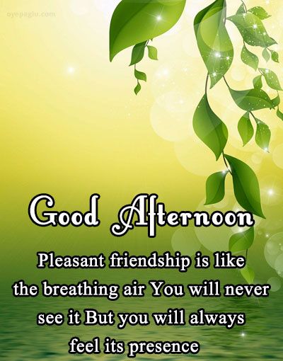 50+ Good afternoon wishes for Free Download Good Afternoon Wishes Images, Gud Afternoon, Good Afternoon My Love, Good Afternoon Wishes, Midday Slump, Afternoon Messages, Afternoon Wishes, Good Night For Him, Good Afternoon Quotes