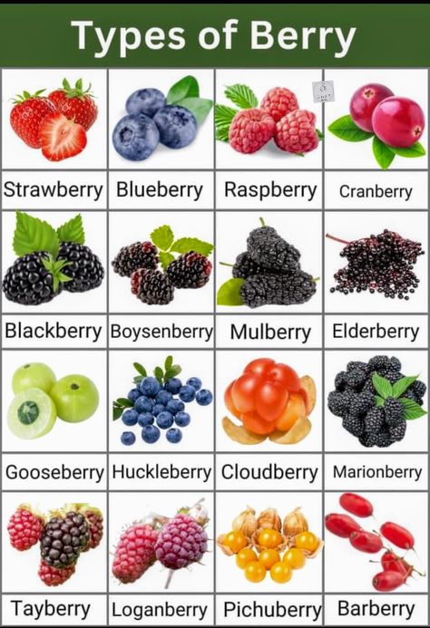 Daily English Vocabulary, Fruits And Vegetables List, Werewolf Cat, Healthy Food Chart, Types Of Berries, Fruit Health, Amazing Food Hacks, Vegetable Pictures, Fruit Names