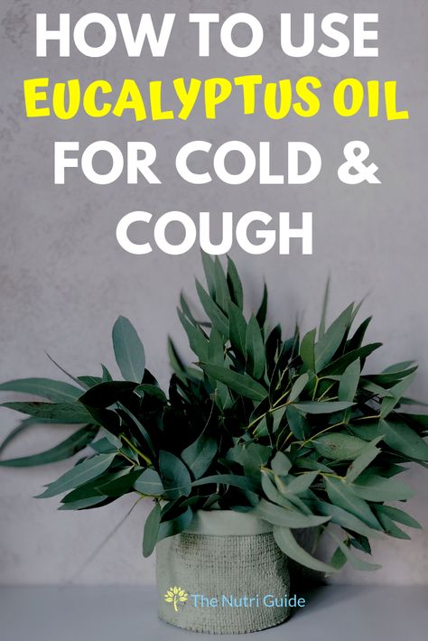 Learn how to use eucalyptus oil to naturally treat a cold & cough. 4 Simple to make recipes to treat your cold.  #essentialoils #eucalyptus #cough Eucalyptus Oil For Cough, Oils For A Cold, Eucalyptus Oil Benefits, Eucalyptus Oil Uses, Oil For Cough, Essential Oils For Cough, Cold And Cough, Best Cough Remedy, Essential Oils For Colds