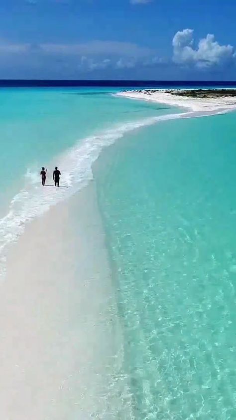 @OrgBluewater en Instagram: CAYO DE AGUA in Los Roques. Here you can walk in the middle of 2 ocean waters. It is a famous island in Los Roques National Park” Venezuela Wallpaper, Angel Falls Venezuela, Angel Falls, Beautiful Waterfalls, Beautiful Places In The World, Beautiful Places To Visit, White Sand, Most Beautiful Places, Beautiful Beaches