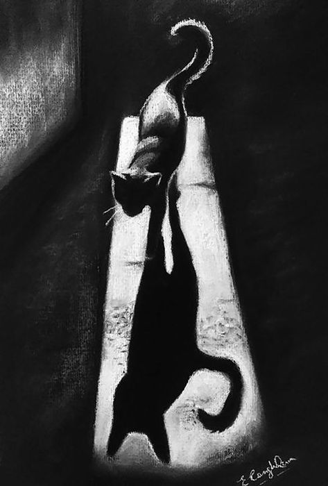 Shadow Casting, Drawing Of A Cat, Illustration Animals, Cat Shadow, Shadow Illustration, Shadow Drawing, Art Journal Prompts, Cat Books, Cat Photography