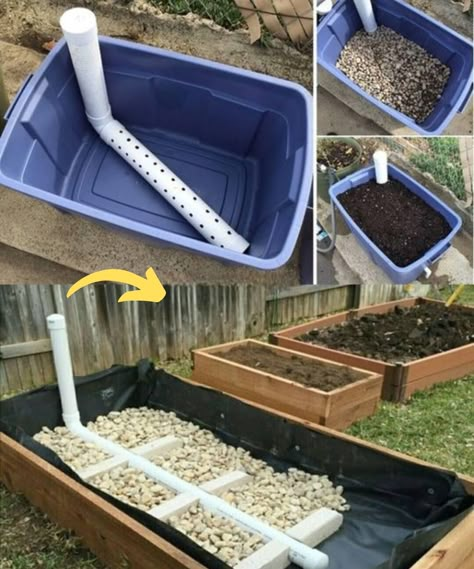 Wicking Garden Bed, Gemüseanbau In Kübeln, Self Watering Containers, Hydroponics Diy, Vegetable Garden Raised Beds, Garden Vegetable, Gardening Hacks, Veg Garden, Container Gardening Vegetables