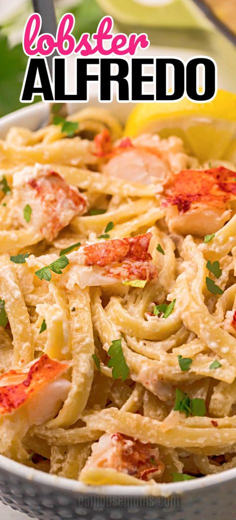 This delightfully easy Lobster Alfredo takes all of 30 minutes to make and will have everyone at the dinner table feeling extra fancy! #RealHousemoms #lobster #fettuccine #alfredo #pasta #seafood #parmesan #easydinner #30minsorless #italianfood #valentinesday #newyearseve Lobster Alfredo Recipe, Lobster Alfredo, Fettucini Alfredo Recipe, Fettuccine Alfredo Pasta, Lobster Pasta Recipe, Chicken And Shrimp Carbonara, Shrimp Carbonara, Seafood Alfredo, Pasta Seafood