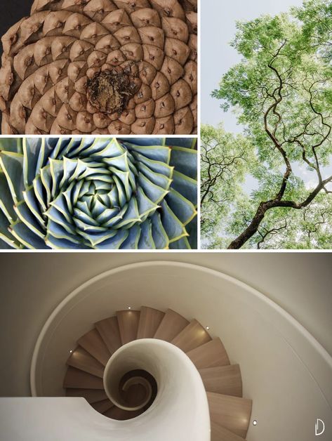 Interior Inspired By Nature, Fractal Design Architecture, Nature Interior Design Concept, Biofilic Design, Biomimicry Design, Biomimicry Examples, Fractals In Nature, Landscape Silhouette, Interior Design Examples