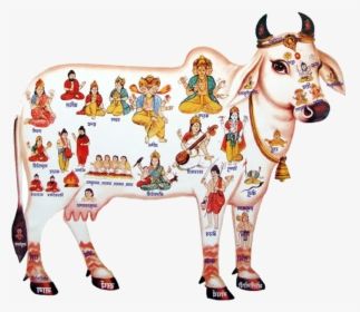 Cow Slaughter, Cow Products, Rome Antique, Cow Pictures, Lord Vishnu Wallpapers, Tanjore Painting, Hindu Mythology, The Cow, Holy Cow