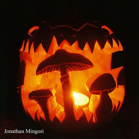 Shaved Pumpkin Designs, Mushroom Pumpkin Carving Ideas, Pumpkin Carving Ideas Mushroom, Pumpkin Carving Mushroom, Cottage Core Pumpkin Carving, Mushroom Carved Pumpkin, Long Pumpkin Carving Ideas, Mushroom Pumpkin Carving, Mushroom Jack O Lantern