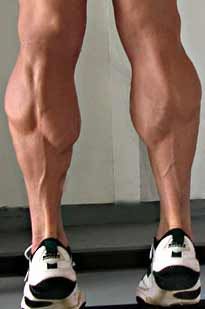 Calf Muscles – Pathology, Strain, Muscular Legs Men, Muscular Calves, Leg Muscle, Muscular Legs, Ready To Receive, Authentic Life, Beefy Men, Living Books, Leg Muscles