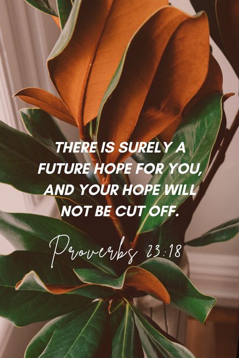 Aesthetic Scripture, Bible Board, Jesus Scriptures, Proverbs 23, Gods Princess, Bible Quotes Wallpaper, Bible Quotes Images, Everyday Quotes, Quotes Bible