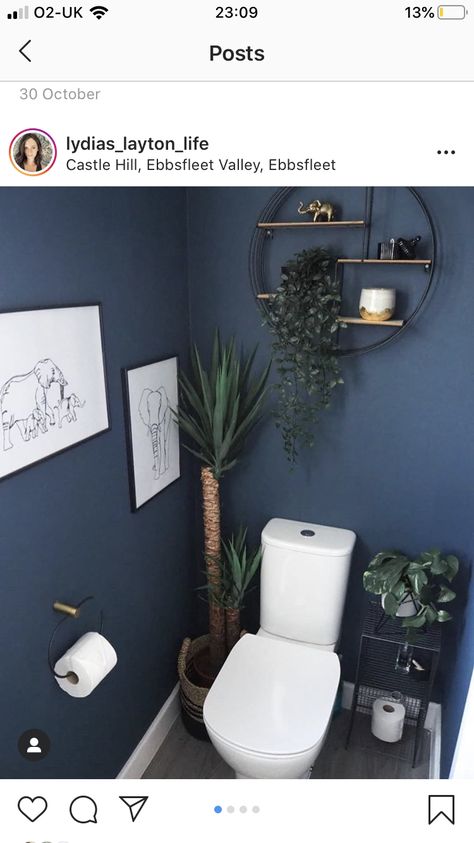 Inspiration Wc, Small Toilet Decor, Blue Bathroom Walls, Wc Decoration, David Wilson Homes, Small Downstairs Toilet, Cloakroom Toilet, Navy Bathroom, Half Bathroom Decor