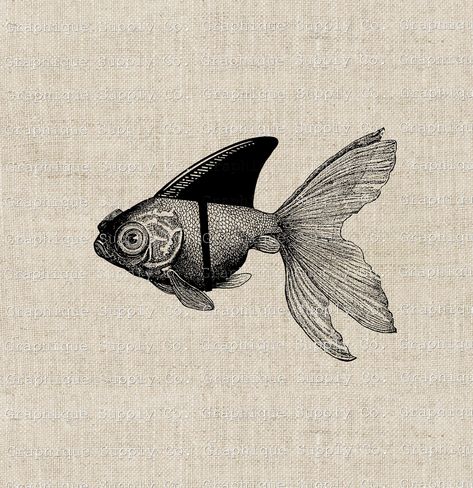 Goldfish With Shark Fin, Steampunk Fish Drawings, Shark Vintage Illustration, Vintage Sea Animals Illustration, Fish Scientific Illustration, Angler Fish Scientific Illustration, Steampunk Wall Art, Shark Silhouette, Funny Artwork