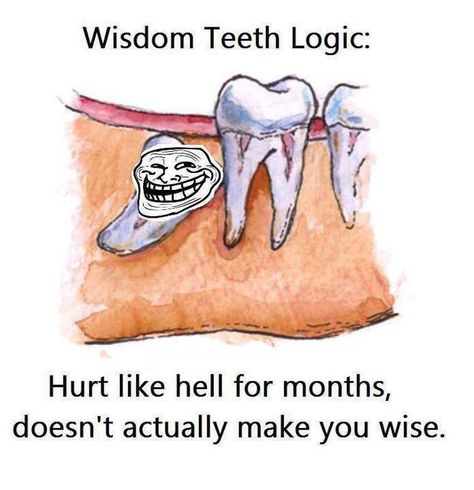 wisdom teeth Wisdom Teeth Meme, Wisdom Teeth Funny, Teeth Images, Teeth Surgery, Dental Quotes, Teeth Alignment, Wisdom Tooth Extraction, Teeth Dentist, Dental Health Care