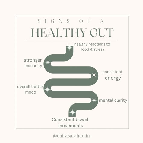 Gut health is the foundation of whole body health. Here's a few different signs you have a healthy gut. Food Sensitivity Test, Hollistic Health, Food Sensitivity, Gym Nutrition, Gut Health Diet, Tea Health, Fitness Vision Board, Improve Nutrition, Health Post