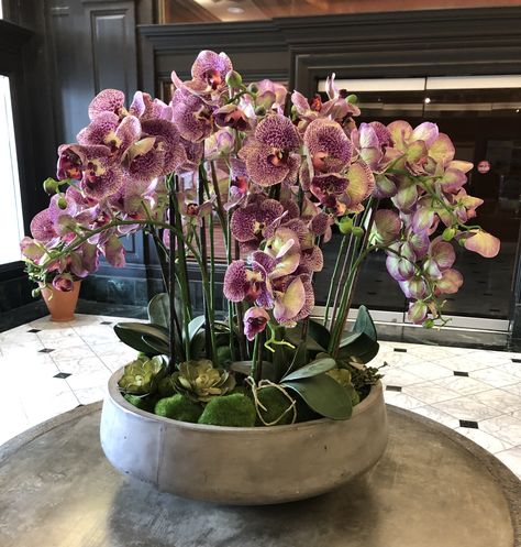 Love the orchids and the concrete planter. Click here for bowl and plant your orchid. Potted Orchid Centerpiece, Orchid Bowl, Orchid Centerpieces, Orchid Plant, Concrete Planter, Garden Planter, Beautiful Orchids, Orchid Plants, Large Planters