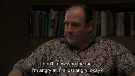 Tony Soprano Quotes, Sopranos Quotes, Cinema Quotes, Steve Buscemi, Tony Soprano, The Sopranos, Film Quotes, Tv Show Quotes, Tv Quotes