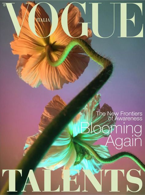 Cover Magazine, Newspaper Cover, Vogue Magazine Covers, Fruit Wallpaper, Fashion Magazine Cover, Cool Magazine, Fashion Cover, Vogue Covers, Luxury Flowers