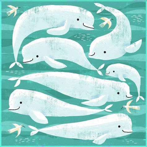 Gareth Lucas on Instagram: “Here are some friendly Baluga whales😊 ... .. . #illustrator #birds #whale #balugawhale #digitalart #digitalillustration #illustration…” Beluga Whales, Whale Illustration, Lucas Arts, Beluga Whale, 강아지 그림, Square Art, Square Canvas, Whales, Free Art