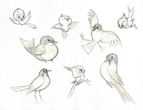 Bird Cartoon Character, Bird Rocks, Disney Birds, Bird Cartoon, Character Design Tutorial, Bird Sketch, Cartoon Birds, Cartoon Sketches, Animal Sketches