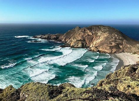 San Miguel Island - All You Need to Know BEFORE You Go (2024) San Miguel Island, Santa Cruz Island, Channel Islands National Park, California National Parks, Parasailing, Marine Mammals, Weekend Trips, Wine Country, Beach Trip