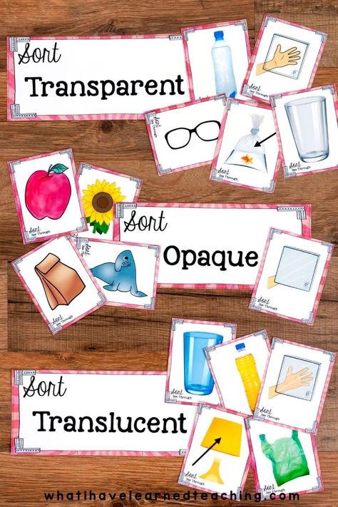 Teach students about properties of light with this science station. Includes transparent, translucent and opaque objects. This sorting center includes a reading passage to build background knowledge about nerve cells as well as differentiated questions to assess your students' comprehension. Translucent Transparent Opaque Activity, Transparent Translucent Opaque Activity, Opaque Transparent Translucent, Translucent Objects, Physical Science Projects, Shadow Experiments, Chemistry Experiments For Kids, Science Exhibition Projects, Physical Science Lessons