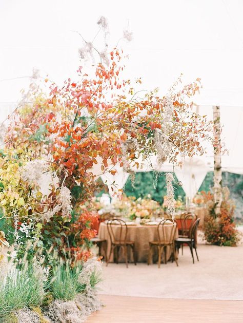 Tent Entrance, Autumn Reception, Tent Wedding Reception, Bloom Wedding, Fall Wedding Ceremony, Tent Reception, Autumn Flowers, Wedding Tent, Lake Wedding