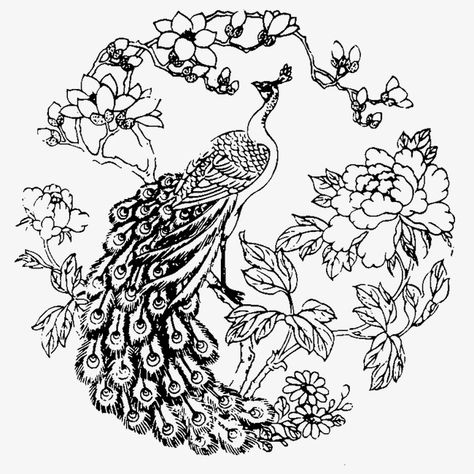 Peacock Sketch, Chinese Porcelain Pattern, Blue Pottery Designs, Peacock Tattoo, Peacock Wall Art, Chinese Embroidery, Japanese Drawings, Folk Art Flowers, Batik Art