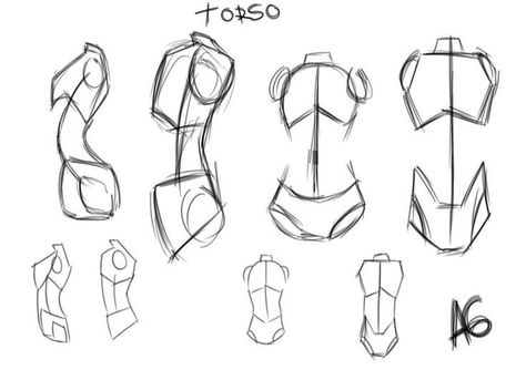 Art Reference Body Human Anatomy, Female Anatomy Drawing Basic Shapes, Body Anatomy Shapes, Torso Guidelines, Body Reference Shapes, Anatomy In Shapes, Shapes For Anatomy, Woman Anatomy Drawing Reference, How To Draw A Torso Female