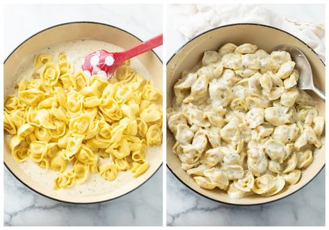 Tortellini Sauce Recipes, Tortellini Sauce, Ravioli Sauce, Creamy Tortellini, Chicken Broccoli Rice Casserole, Sausage Tortellini, Parmesan Cream Sauce, Broccoli Rice Casserole, Easy Vegetarian Dinner