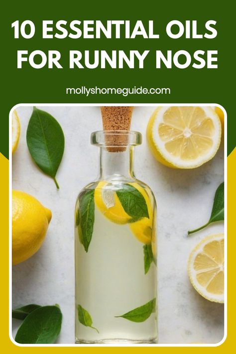 Discover the best essential oils for runny nose to find natural relief for rhinorrhea and congestion. Try DIY diffuser blends, roller blends, or recipes for diffusers featuring immune system-boosting essential oils. These essential oils are a great natural support for spring congestion and seasonal allergies. Explore kids-friendly diffuser blends and learn how to use essential oils to reduce sneezing and stay healthy during allergy season. Runny Nose Essential Oils, Essential Oils For Runny Nose, Oils For Runny Nose, Runny Nose Remedy, Essential Oils For Nausea, Natural Remedies For Congestion, Diy Diffuser Blends, Diy Diffuser, Natural Decongestant