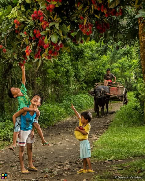 Childhood Photography, Childhood Memories Art, International Photography Awards, Human Figure Sketches, Village Photos, 90s Memories, Storybook Art, Amazing Nature Photos, Photography Awards