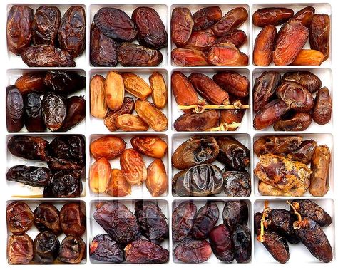 HOW MANY TYPES OF DATES ARE THERE ? Dates Fruit, Dates Benefits, Fresh Dates, Dried Dates, Date Palm, Date Recipes, Different Fruits, Dried Apricots, Food Staples