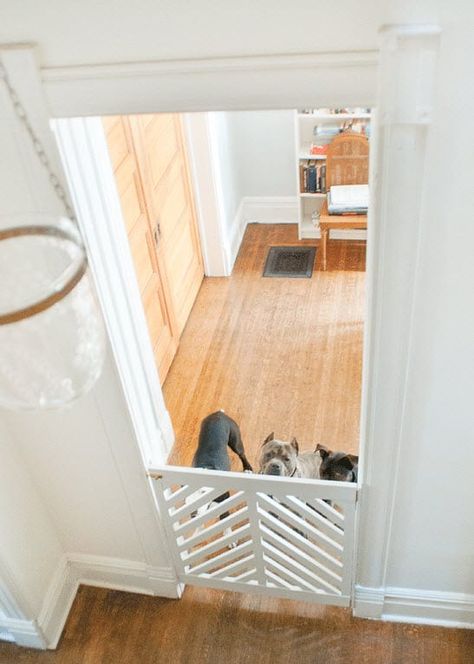 25 DIY Indoor Dog Gate and Pet Barrier Ideas to keep your dogs all in one place. Everything from budget friendly to farmhouse style dog doors. Learn how to build your own in minutes. Dog Gates Indoor, Dog Gate Indoor, Indoor Gates, Diy Dog Gate, Diy Baby Gate, Dog Gates, Pet Barrier, Cozy Spaces, Baby Gates