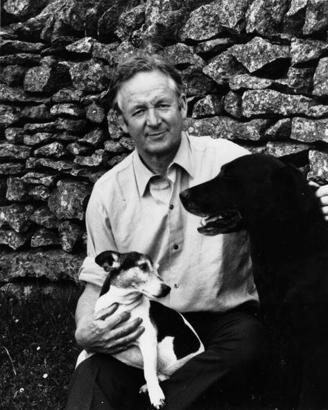 ‘All Creatures Great and Small’: Who Was the Real James Herriot? - The New York Times The Yorkshire Vet, Rachel Shenton, Big Fluffy Dogs, Veterinary Studies, James Herriot, Veterinary School, Wanted Ads, Classic Television, People Of Interest