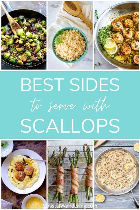 Scallops And Pasta Healthy, What To Pair With Scallops, Scallop Sides Dishes, Scallop Dishes Dinners, What To Eat With Scallops, What To Make With Scallops, Meals With Scallops, Keto Scallops Recipes, Scallops Dinner Ideas Healthy