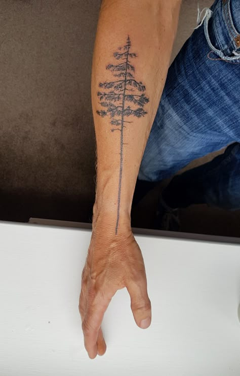 Male Tree Tattoo, Long Tree Tattoo, Tattoo Tree Men, Mens Tree Tattoo, Tree Tattoo Men Arm, Pine Tree Tattoo Men, Tree Tattoo On Arm, Tree Tattoo Leg, Forearm Tree Tattoo